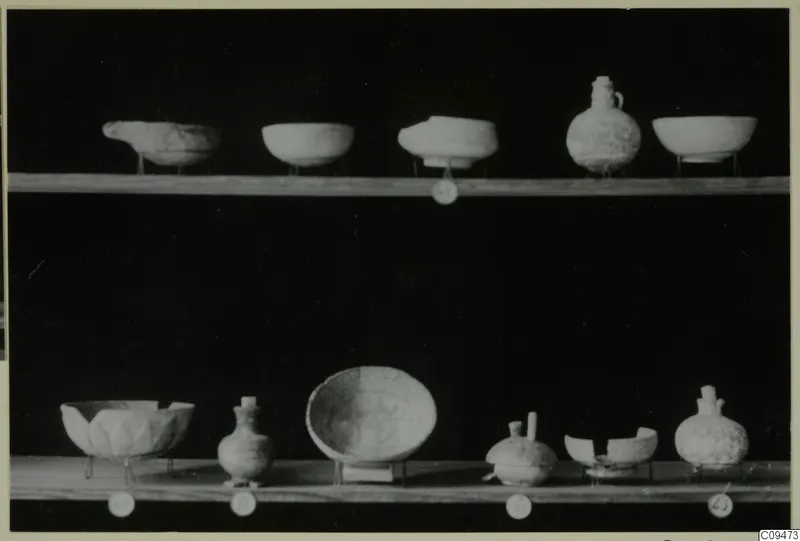 Eleven pale vessels, bowls and small jugs, set out on two wooden shelves against a black background