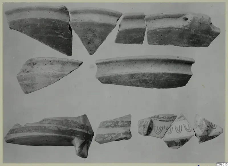 Pottery sherds of Lev. Hell. laid out in rows on a plain grey background