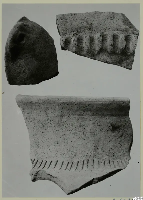 Three pottery sherds on a plain background, one with raised vertical ridges and one with a row of slanting incised strokes.