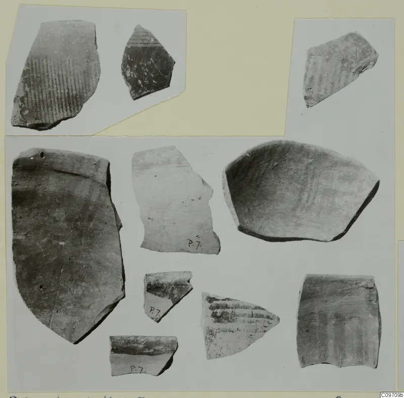 Pottery sherds from Palcoskoutella, several with parallel incised lines and grooves, shown on mounted cards