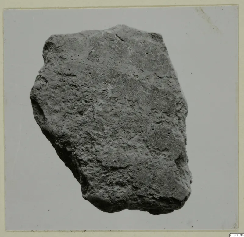 Pottery sherd, a rough irregular fragment with a pitted surface, photographed against a pale backdrop.