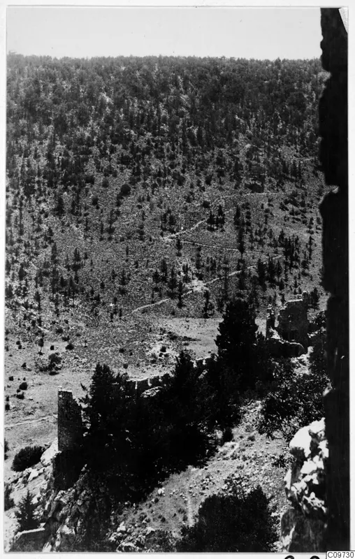 View down a wooded mountainside with ruined stone walls at the right and left edges of the view