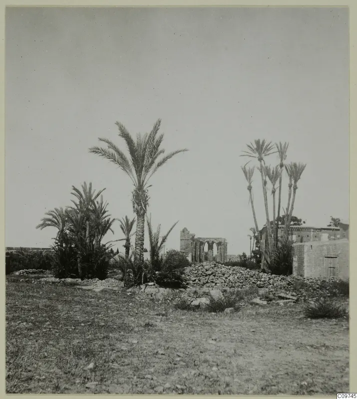 Ruins and palm trees at Famagusta, with a broken stone arcade behind palms and a rubble wall in the foreground.