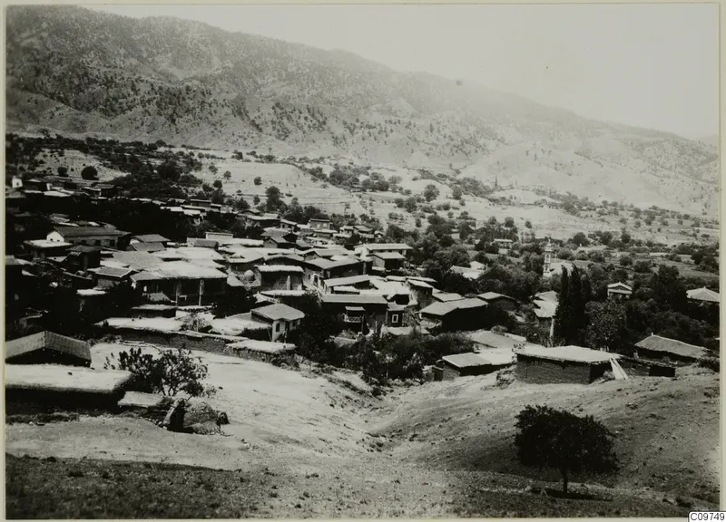 Hillside village of flat-roofed houses below a steep wooded mountain, with trees and terraced fields in the valley.