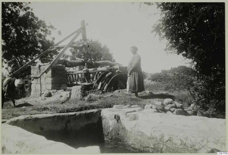 Woman standing by a wooden water-lifting wheel and a stone wall, with a donkey at the left edge