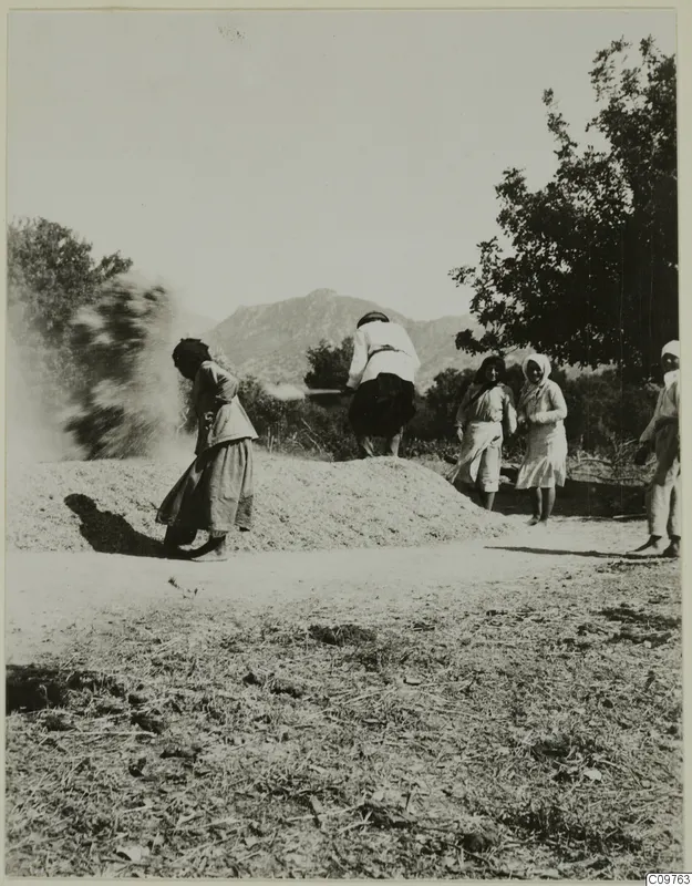 Women threshing grain on a bare ground at Kyrenia, with a mountain and trees behind