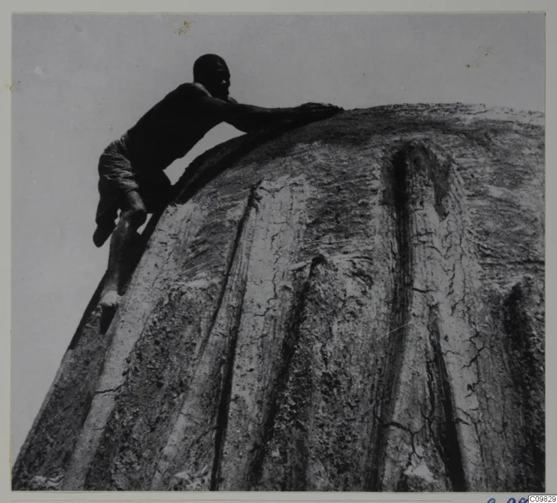 Man leaning over the curved top of a domed building with external ribs, photographed from below against the sky