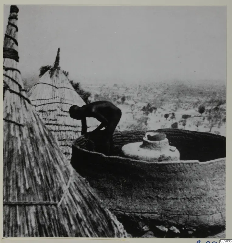 Man building a Matakam hut, with thatched conical roofs and open country with trees beyond.