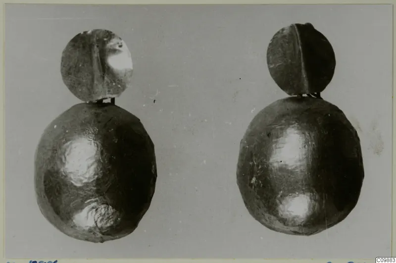 Two gold earrings, each with a round disc and a rounded lower bulb, shown side by side against a grey background.