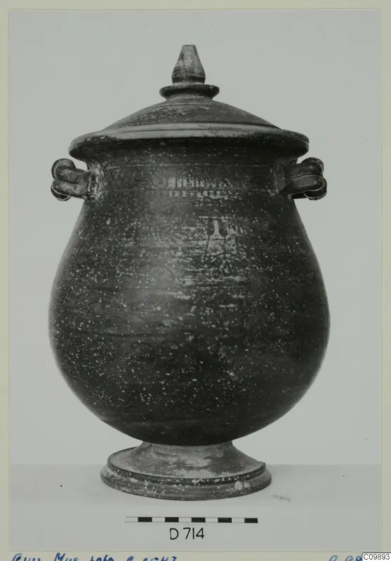 Lidded vessel with a globular body, two loop handles and a footed base, shown against a plain light background
