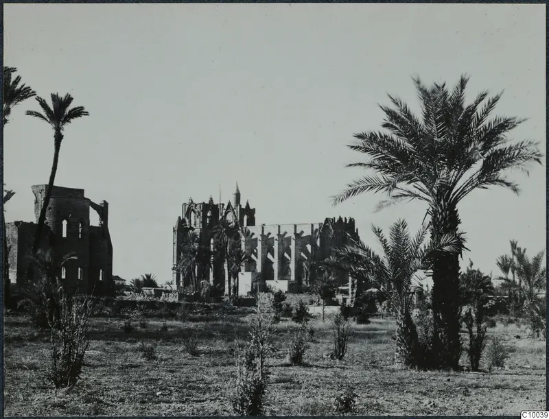Ruins at Famagusta: roofless stone walls with pointed windows rising among palm trees and scrub.