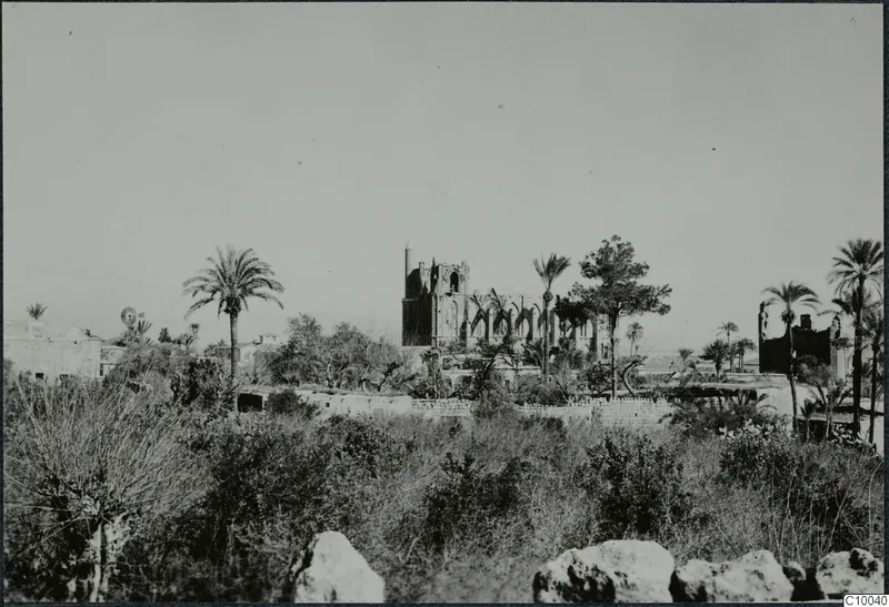 Ruined church with broken walls and pointed window openings, rising above palm trees and scrub at Famagusta