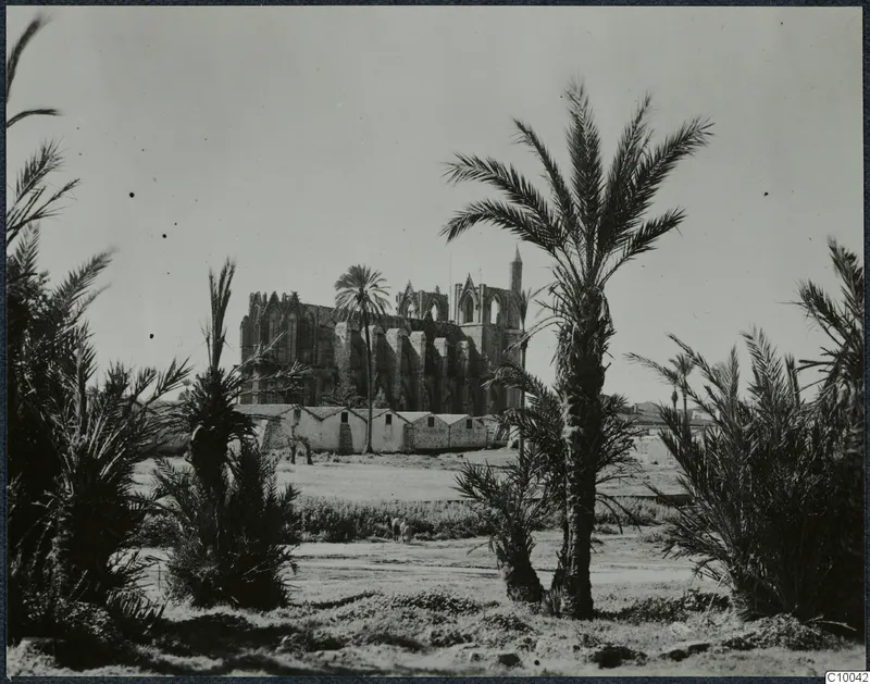 Ruined stone building at Famagusta behind tall palm trees and a row of low sheds.