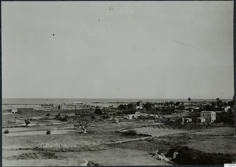 View over Famagusta from above, with flat fields, low houses, palm trees and the sea on the horizon