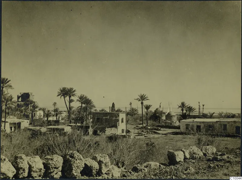 View across Famagusta with palm trees, low houses and a domed building, with the sea on the horizon