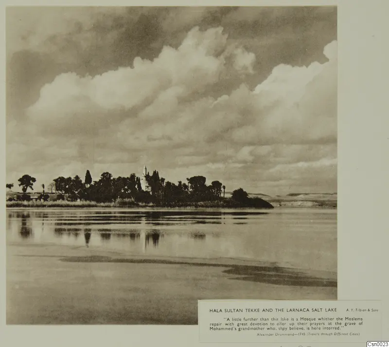Hala Sultan Tekke mosque with its white minaret among dark trees beside the Larnaca salt lake under large clouds