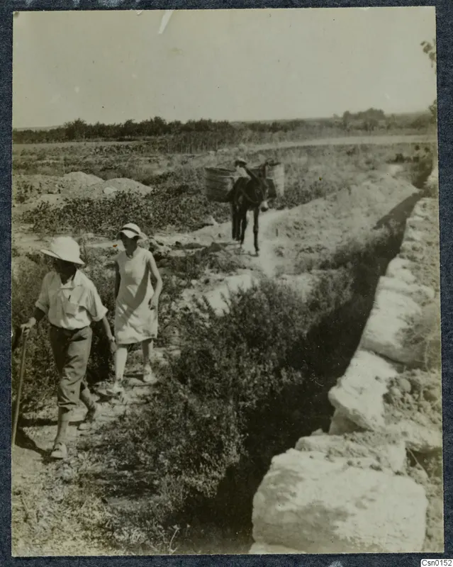 A man and a woman walk beside a stone wall, with a pack donkey carrying baskets on the path behind them