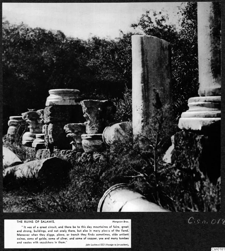 Ruins at Salamis: fallen column drums, carved capitals and a standing stone block among bushes.