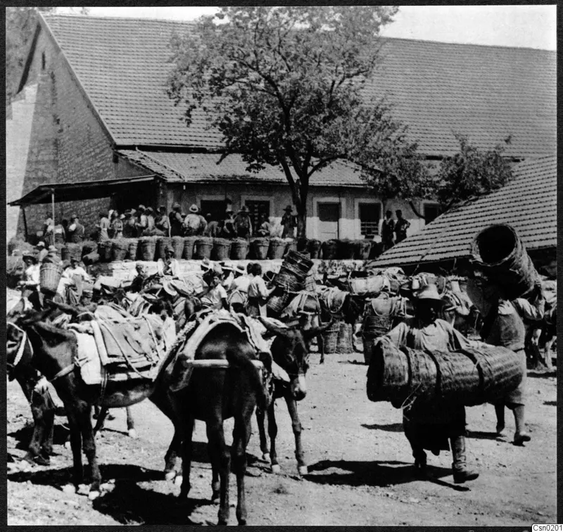 Busy yard with mules carrying packs and men with large baskets, in front of a stone building with a tiled roof and a tree.