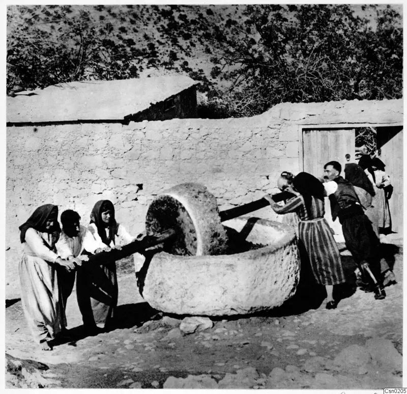People pushing wooden poles to turn a large stone wheel in a circular stone trough, beside a pale stone wall.
