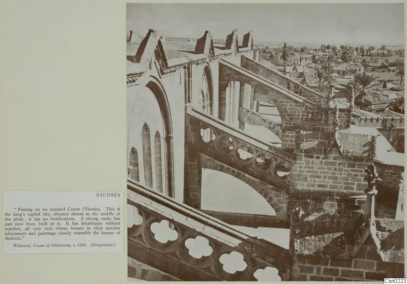 Rooftops of Nicosia seen from above, with a building of pointed gables and arched openings, and palm trees beyond