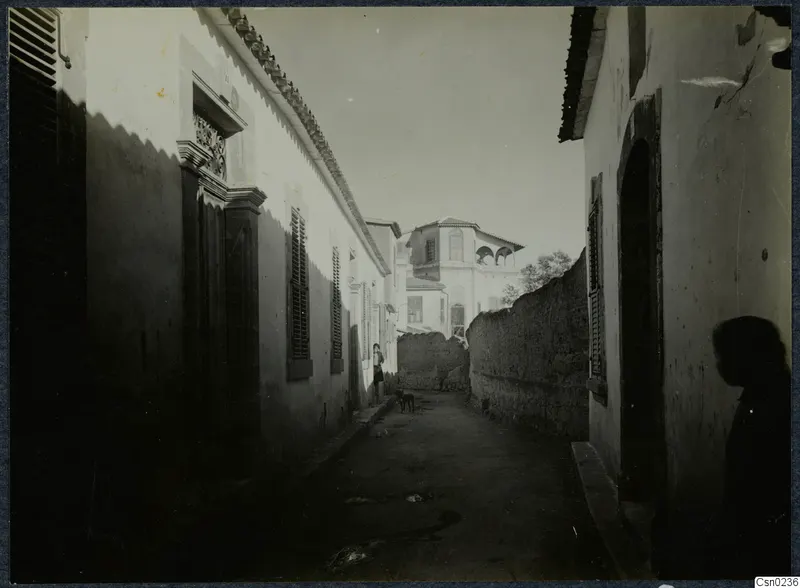 Narrow street in Nicosia lined with whitewashed buildings, with a dog and a person near the left wall