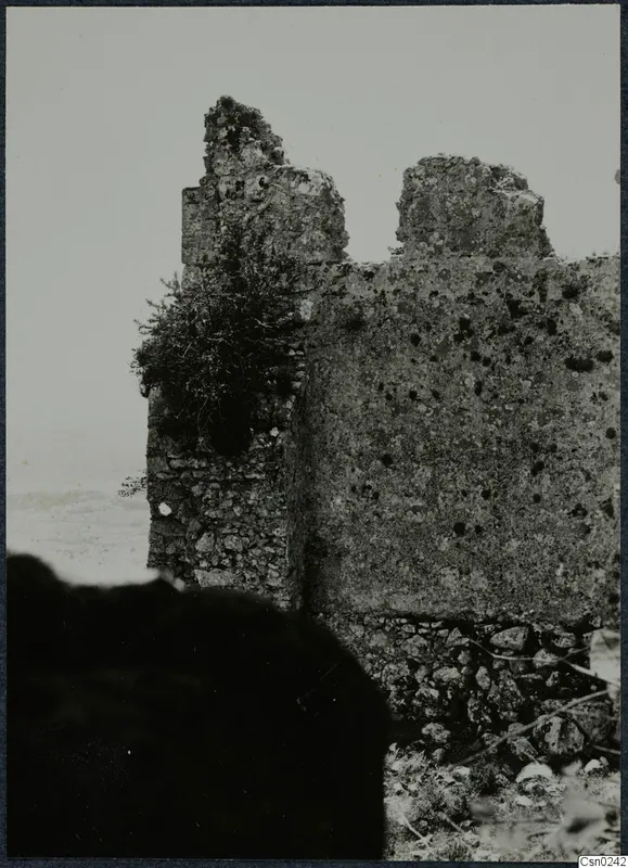 Ruined stone walls with a shrub growing from the wall top, against a pale sky, in the Kyrenia Mountains