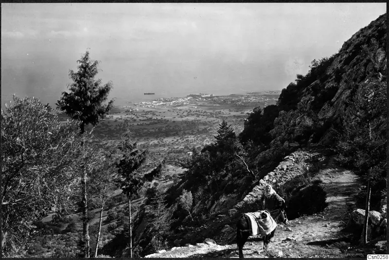 Mountain landscape with a person and a donkey on a stony path, looking down over a coastal town and the sea