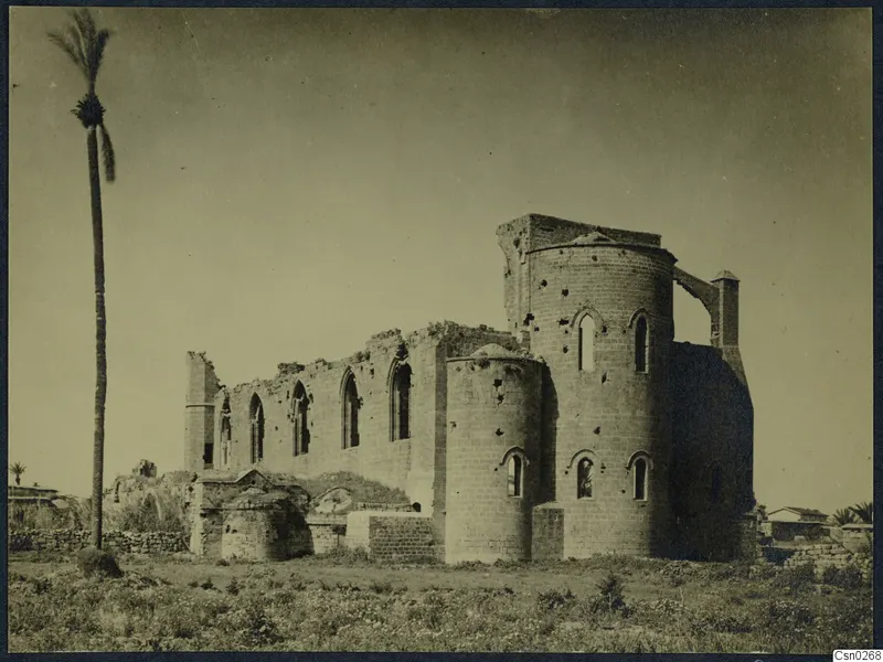 Ruined stone building with narrow arched windows and rounded bays, with a tall palm tree on the left
