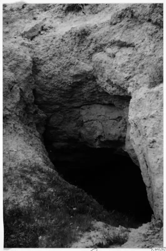 Dark opening cut into a pale soil bank, with grass at the bottom edge and a stone at upper left, Nicosia excavation