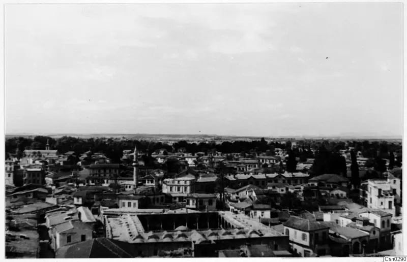 Elevated view over the rooftops of Nicosia, with a minaret rising among houses and a band of trees beyond.
