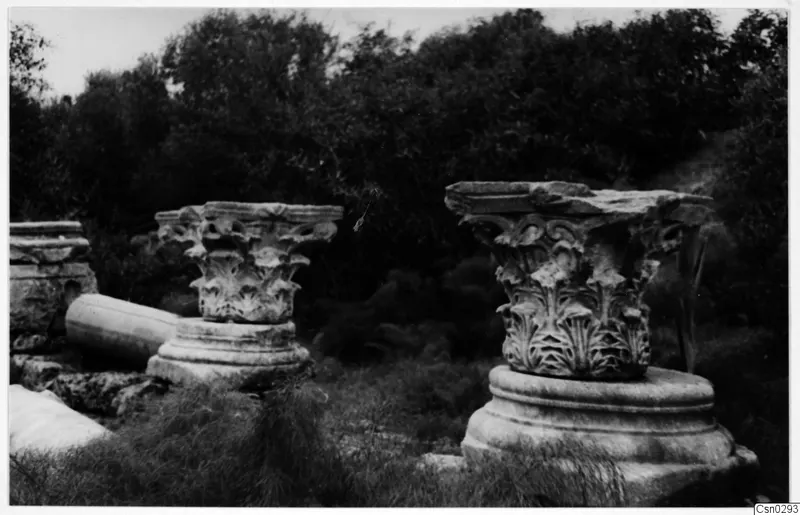 Two carved column capitals on tiered bases among grass and trees at Salamis, Famagusta, with a fallen drum at left.