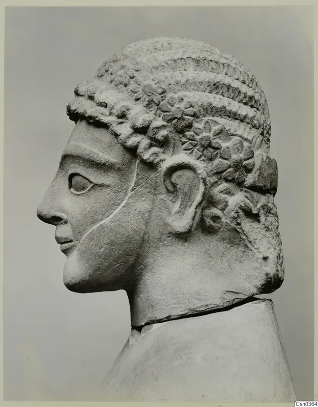 Limestone statue head in profile, facing left, with tiered curled hair and rosette ornaments above the ear.