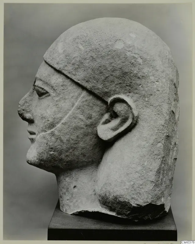 Limestone head of a sculpted figure in profile, facing left, on a dark square base.