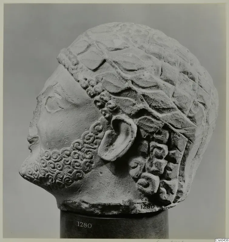 Limestone head sculpture in left profile, with a curled beard and hair in overlapping locks above a band.
