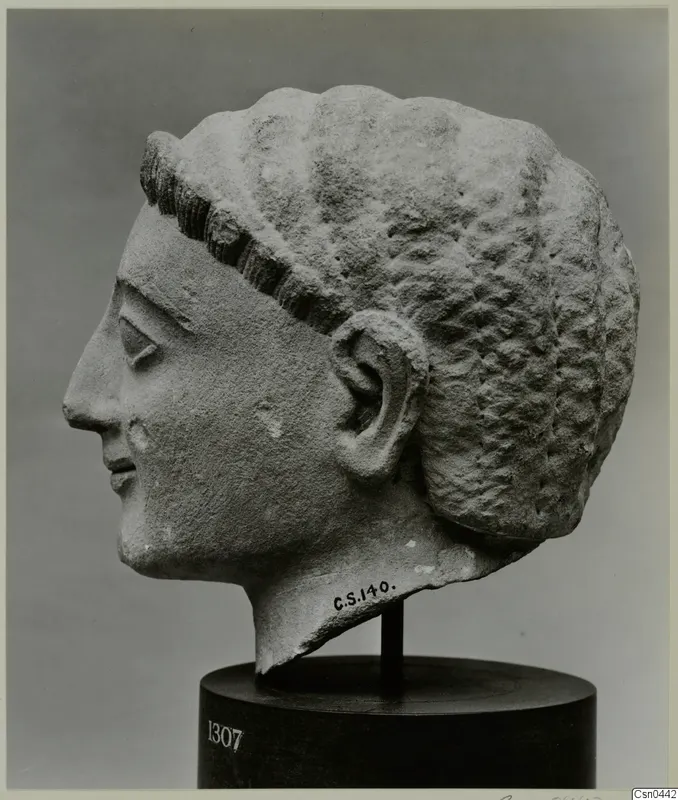 Limestone head of a figure in profile, facing left, with ridged hair and a carved ear, on a dark wooden stand.