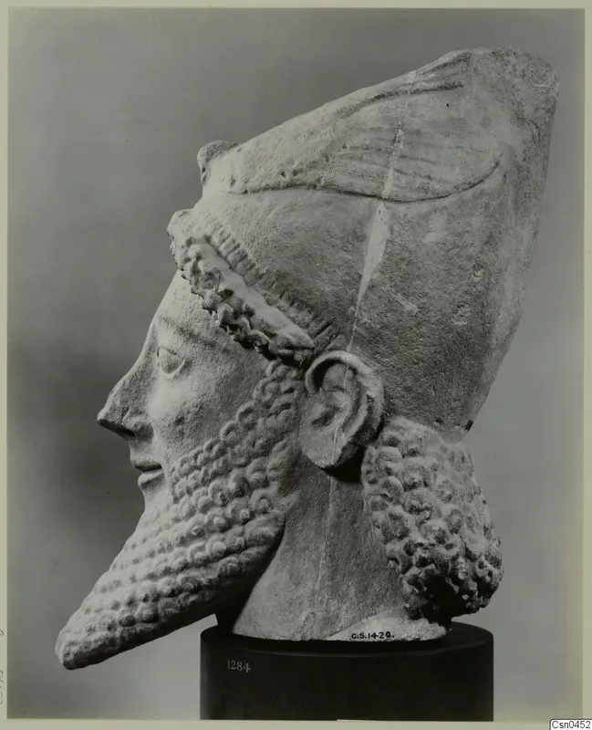 Limestone head with a curled beard in profile, facing left, wearing a tall headdress