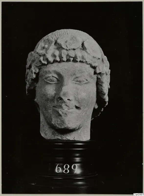 Limestone head, Cypro-Greek I, with curled hair, shown on a dark stepped stand with a number label