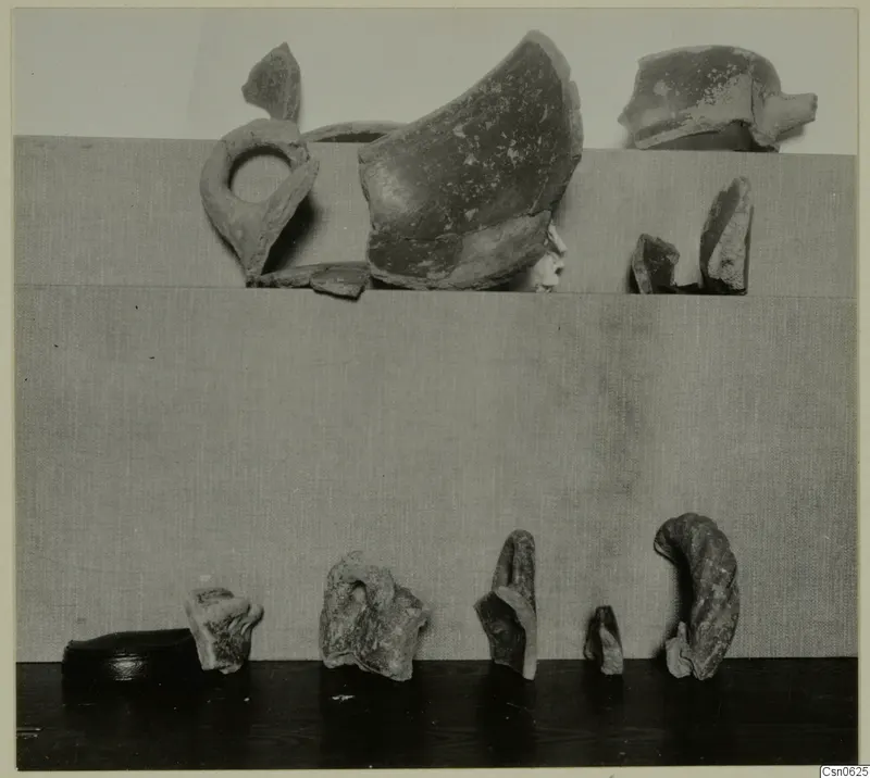 Pottery fragments, including a loop handle piece and body sherds, photographed in two rows against a plain backdrop