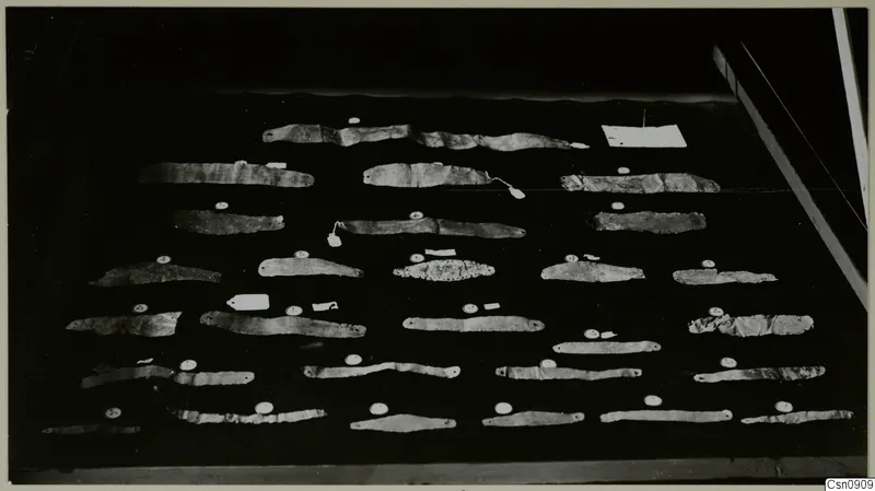 Rows of thin, crumpled strips laid out on a dark tray, with small white tags placed beside several of them