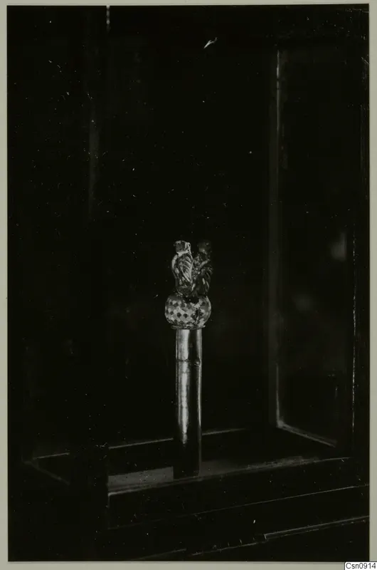 Small pin-like object with a checkered bulbous head and two upright forms on top, shown in a dark glass case