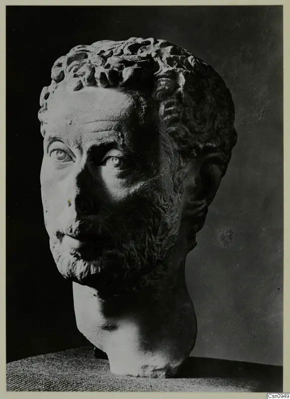 Marble head of a bearded man with curly hair, photographed against a dark backdrop.
