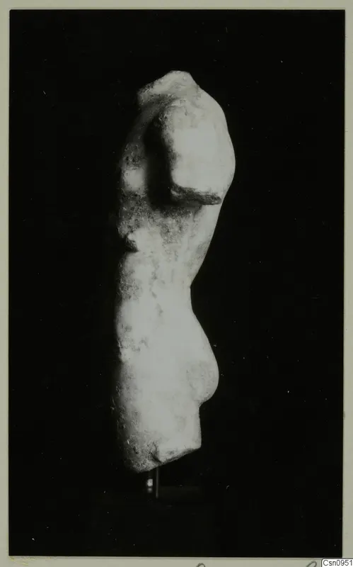 Headless stone statue torso in side view against a black background.