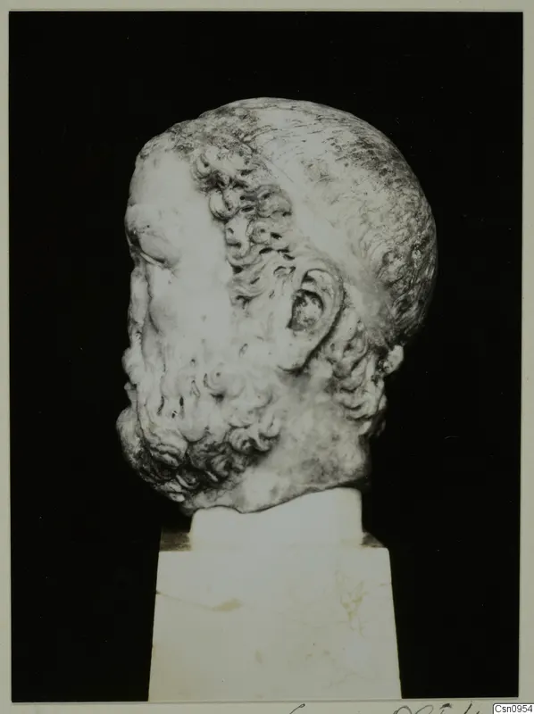 Marble bearded male head on a square pedestal, photographed against a black background.