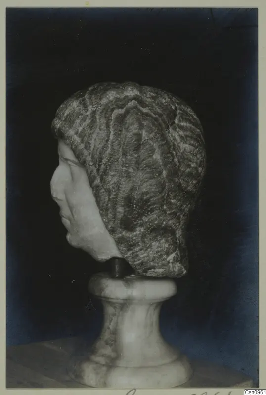 Carved stone head in profile, facing left, with wavy hair, set on a pale pedestal against a dark background.