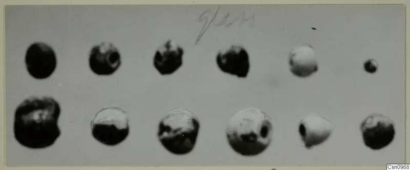 Objects of faience, glass and cornelian from Idalion, Tomb 2, shown in two rows on a grey background.