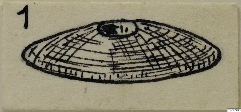 Drawing of a stone button: a flat domed disc with a raised central boss and grid-like lines
