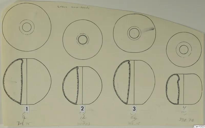Field drawing of four stone mace-heads, each in plan and side profile