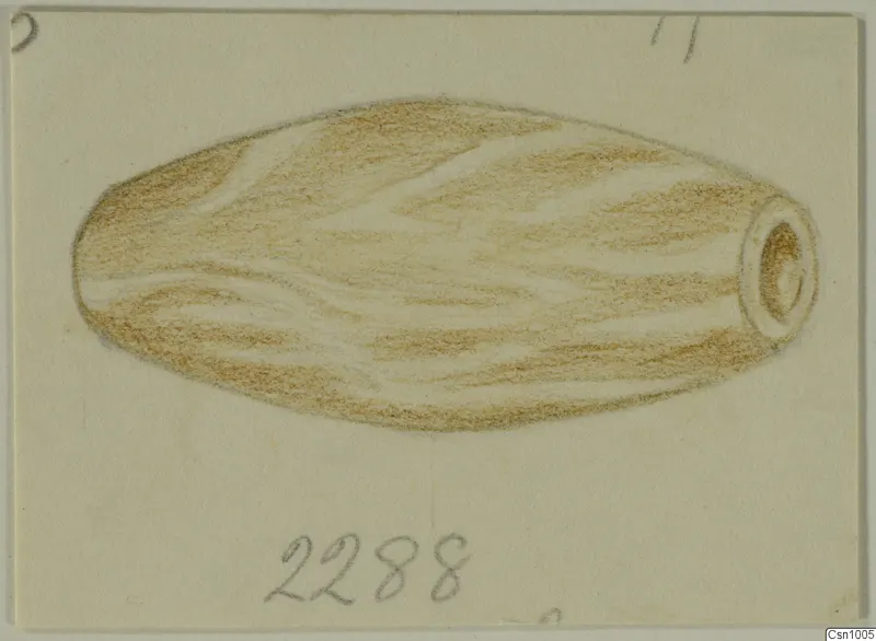 Coloured pencil drawing of an elongated stone object with a narrow neck and mouth at one end