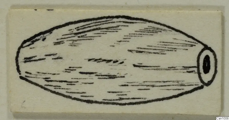 Pen drawing of an elongated, oval stone object with a ringed, perforated end